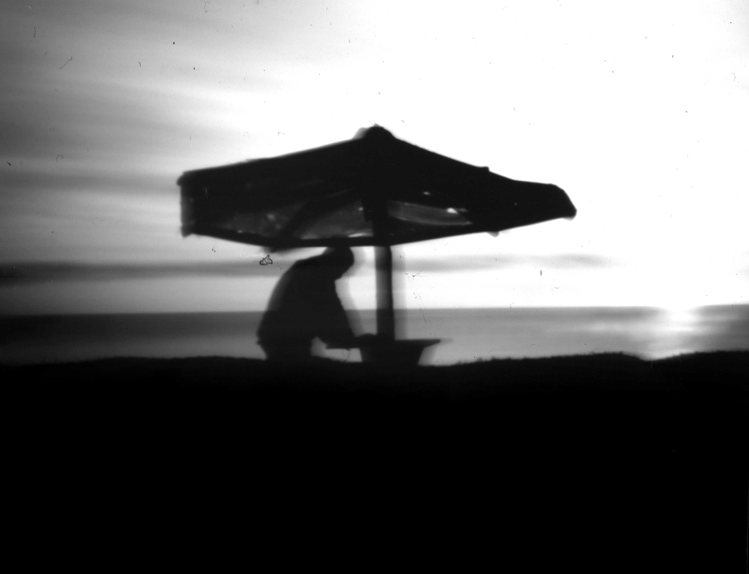 Imagen Lo que la playa da, se devuelve